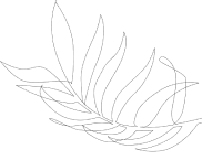 Image 2 1a99b9b1